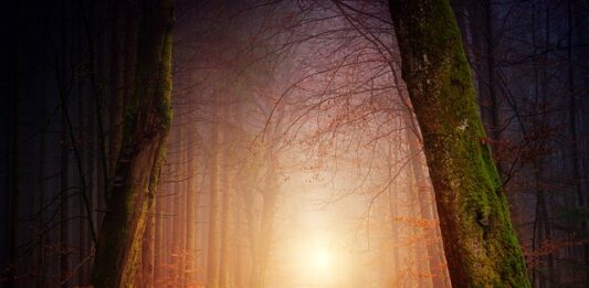 Jakie oświetlenie jest najtańsze? Jakie oświetlenie jest najtańsze?