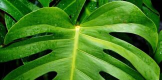 Czy można jeździć z dziurawym tłumikiem?