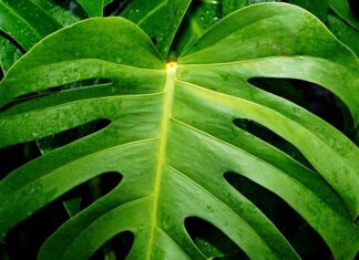 Czy można jeździć z dziurawym tłumikiem? Czy można jeździć z dziurawym tłumikiem?