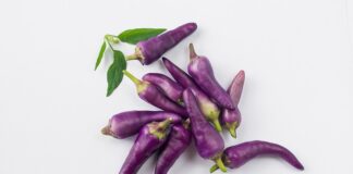 Czy Variant to kombi?