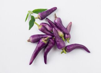 Czy Variant to kombi?