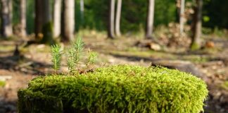 Jak najlepiej zregenerować felgi stalowe?