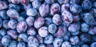 Jakie zasilanie do ładowarki samochodowej?