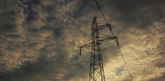 Który przewód jest prądowy L czy N?