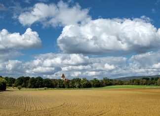 Dlaczego grunt rozpuszcza gładź? Dlaczego grunt rozpuszcza gładź?