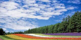 Czy w Polsce można mieć kolorowe światła w aucie?