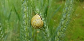 Jak uszczelnić plastikowy zbiornik paliwa?