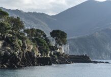 Ile kosztuje wymiana parownika klimatyzacji? Ile kosztuje wymiana parownika klimatyzacji?