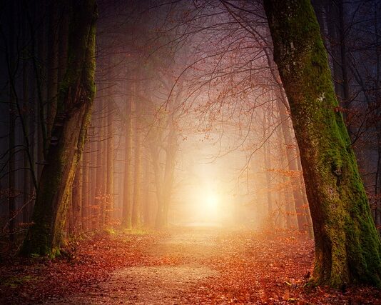 Jak podłączyć oświetlenie do akumulatora?