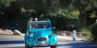 Jaką pacą do zacierania gładzi na mokro?