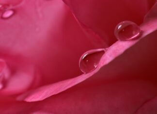 Jaka wilgotność przy 15 stopniach?