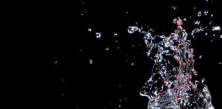 Czy warto kupić Pande 2?