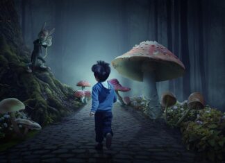 Do czego służy grzybek w piecu na ekogroszek?