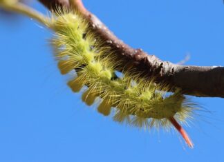 Czy zwykłym prostownikiem można ładować akumulatory żelowe? Czy zwykłym prostownikiem można ładować akumulatory żelowe?