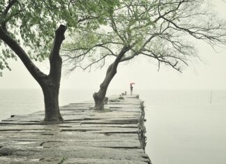 Czy krawężnik wlicza się do szerokości chodnika?