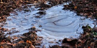 Co dodać do paliwa żeby nie zamarzła?