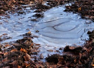 Co dodać do paliwa żeby nie zamarzła? Co dodać do paliwa żeby nie zamarzła?
