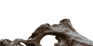 Od czego psuje się panewka?