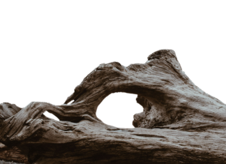 Od czego psuje się panewka?