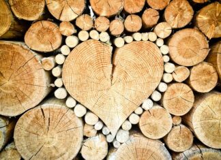 Jaka piła do cięcia drewna na opał?