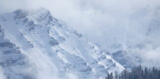 Ile kosztuje przegląd techniczny przyczepy kempingowej?