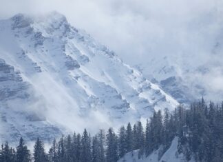 Ile kosztuje przegląd techniczny przyczepy kempingowej?