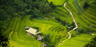 Jaka izolacją kabla na zewnątrz?