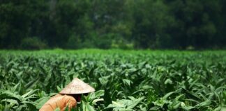 Jakie światła dodatkowe do motocykla?