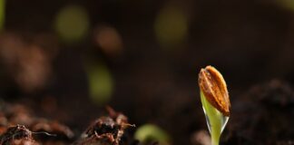 Czy po podkładzie trzeba szlifować?