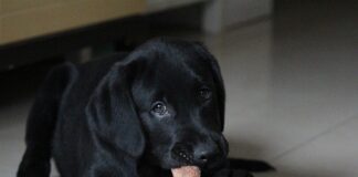 Jakie używane auto najlepiej się sprzedają?