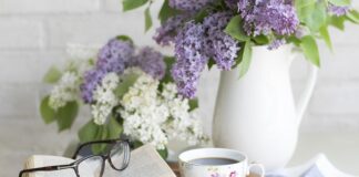 Ile kosztuje ustawienie świateł?