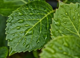 Jak pozbyć się wilgoci w samochodzie?