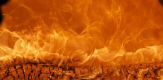 Jaka marka jest najpopularniejsza w Polsce?