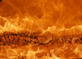 Jaka marka jest najpopularniejsza w Polsce? Jaka marka jest najpopularniejsza w Polsce?