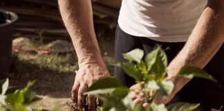 Czym różni się uziemienie od zerowania?