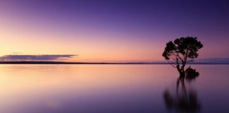 Jak samemu zrobić wodę demineralizowaną?