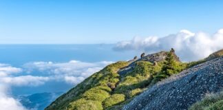 Czy płyta MDF nadaje się na zewnątrz?