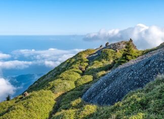 Czy płyta MDF nadaje się na zewnątrz?
