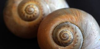 Jak zrobić spiralę z kabla?