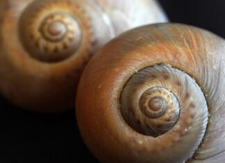 Jak zrobić spiralę z kabla? Jak zrobić spiralę z kabla?