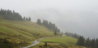 Jaki przebieg wytrzyma 1.6 TDI?