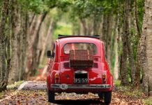 Ile kosztuje fiat panda 2007 rok?