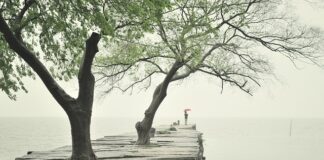 Ile wystaje krawężnik?