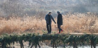 Czy można chodzić ze złamanym biodrem?