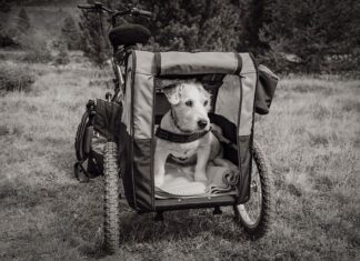 Czy przyczepka musi mieć podświetlenie tablicy? Czy przyczepka musi mieć podświetlenie tablicy?