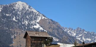 Jak wyciszyć panewki?