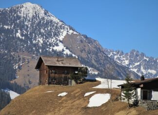 Jak wyciszyć panewki? Jak wyciszyć panewki?