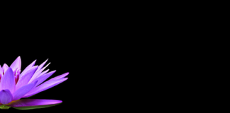 Czym czyścić czarne alufelgi?