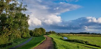 Jak działa wał kardana w motocyklu?