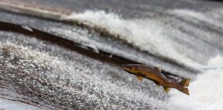 Kiedy faktury za prąd 2023?